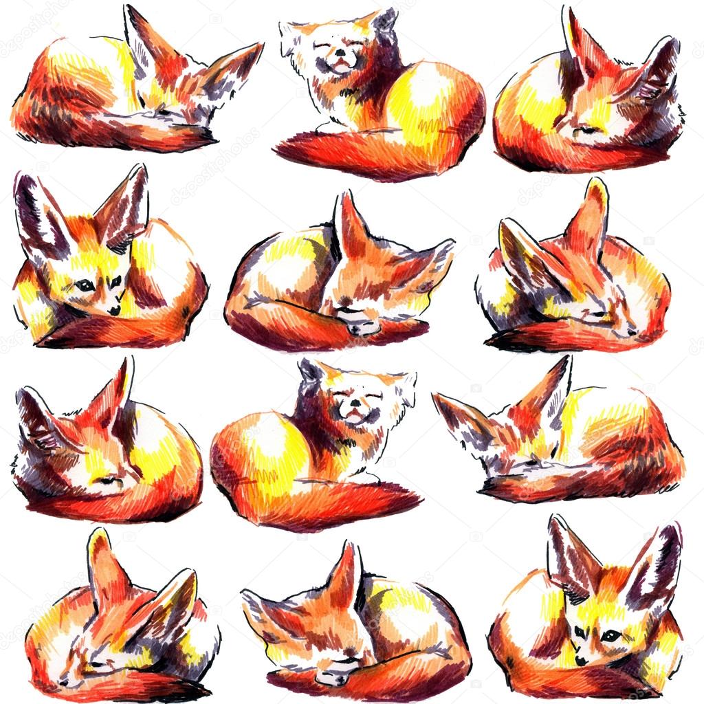 seamless pattern with small sleeping foxes