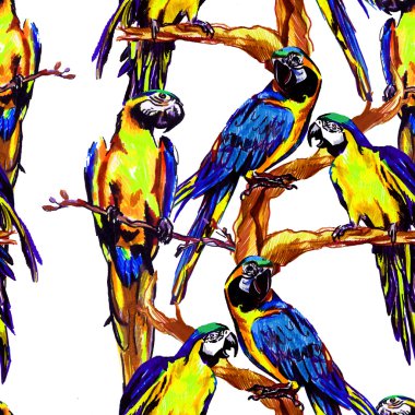 Papağan ile egzotik renkli desen . Ara bir dal üzerinde oturuyor . Dikişsiz desen .