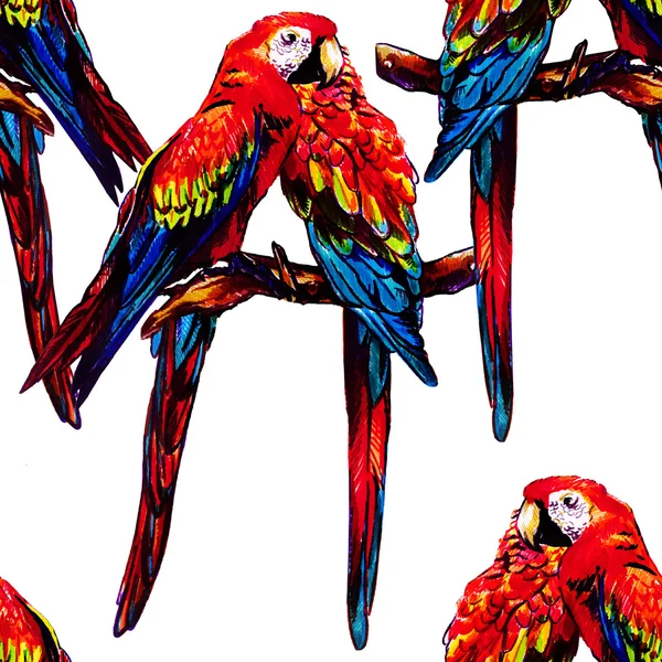 Exotische bunte Muster mit Papageien. ara sitzt auf einem Ast. nahtloses Muster . — Stockfoto