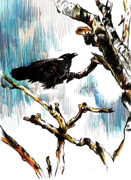 Cuervo sentado en una rama de madera seca — Foto de Stock
