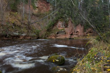 Cesis şehri, Letonya. Taşlar ve ağaçlarla dolu hızlı bir nehir. Doğal bitki. Seyahat fotoğrafı. 31.10.2020