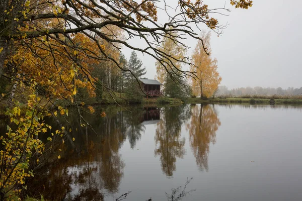 Riga Şehri Letonya Sonbaharda Ağaçlar Otlarla Dolu Bir Göl Doğal — Stok fotoğraf