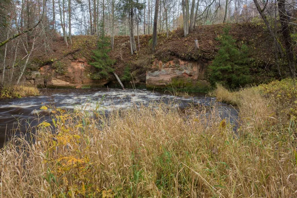 Stadt Cesis Lettland Schneller Fluss Mit Steinen Und Bäumen Naturflora — Stockfoto
