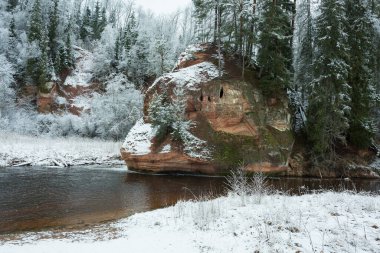 Cesis şehri, Letonya. Amata nehri kışın, ağaçlar ve kayalıklar. 26.12.2020