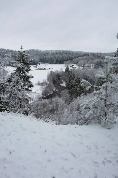 Ville Cesis Lettonie Rivière Amata Hiver Arbres Neige Photo Voyage — Photo