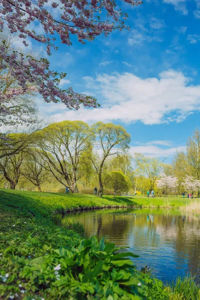 Ciudad Riga Letonia Parque Sakura Parque Fotografía Viaje 2021 — Foto de Stock