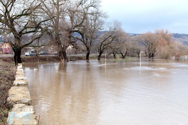 River burst its banks — Stock Photo, Image