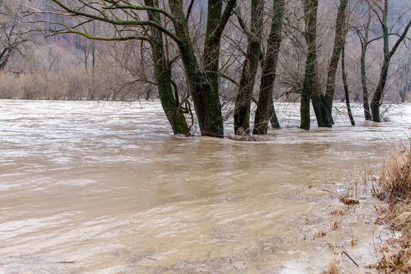 River burst its banks — Stock Photo, Image