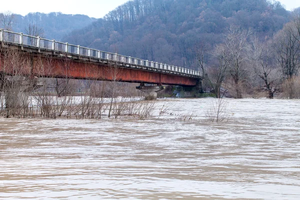 River burst its banks — Stock Photo, Image