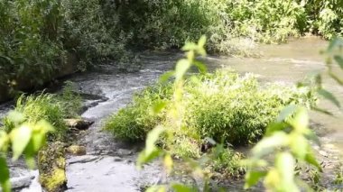 Atık su kanalizasyon Nehri kirletiyor