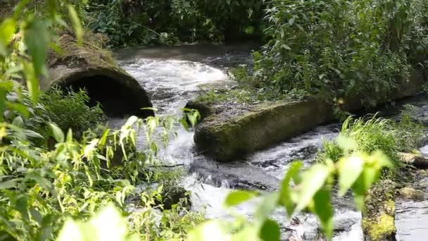 Las aguas residuales contaminan el río — Vídeo de stock