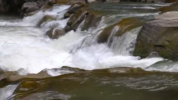 Strong mountain stream flowing over rocks — Stock Video
