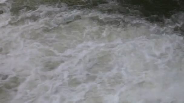 Il flusso dell'acqua del fiume — Video Stock
