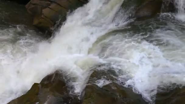 強力な渓流の岩の上を流れる — ストック動画