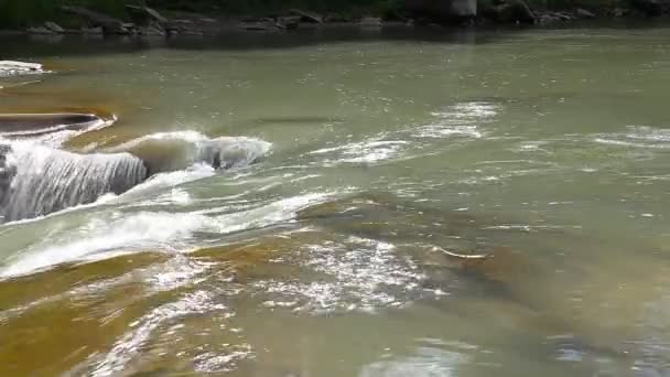 Fuerte arroyo de montaña que fluye sobre rocas — Vídeo de stock