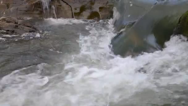 Fuerte arroyo de montaña que fluye sobre rocas — Vídeos de Stock