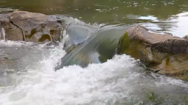 Sterke bergbeek stroomt over rotsen — Stockvideo
