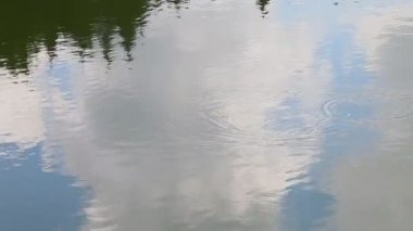 Balık avlıyorsun gölde - bir balık yakalamak