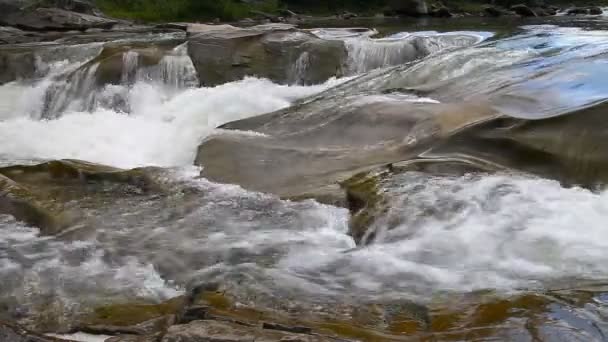 Stark fjällbäck flödar över stenar — Stockvideo