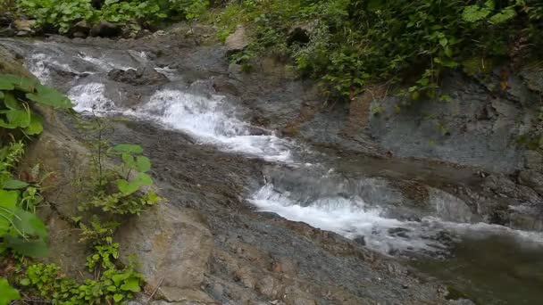 Fuerte arroyo de montaña que fluye sobre rocas — Vídeo de stock