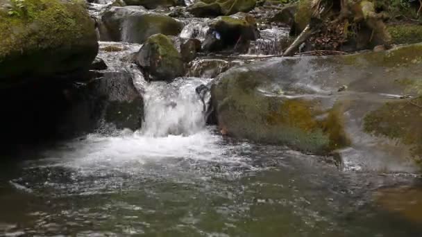 强大的山间小溪流过岩石 — 图库视频影像