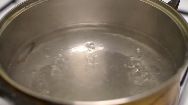 Boiling water on a stove in a pan — Stock Video