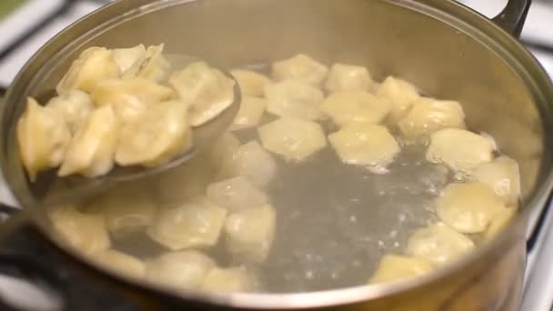 Bir tavada sıcak su ocakta kaynamaya koyun köfte, yemek — Stok video