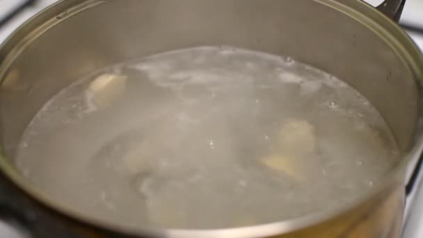 Bir tavada sıcak su ocakta kaynamaya koyun köfte, yemek — Stok video