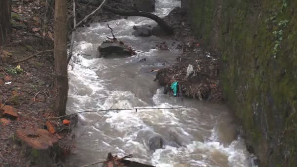 Водяний струмок у струмку після дощу — стокове відео