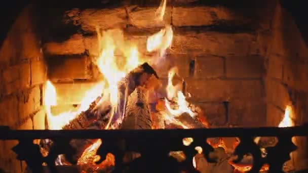 Holzverbrennung im Kamin — Stockvideo