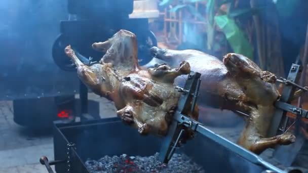 Lamb roasting on a spit — Stock Video