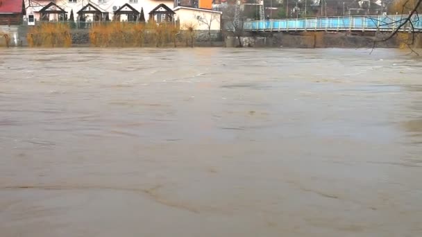 River burst its banks — Stock Video