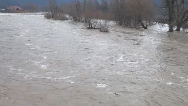 River burst its banks — Stock Video