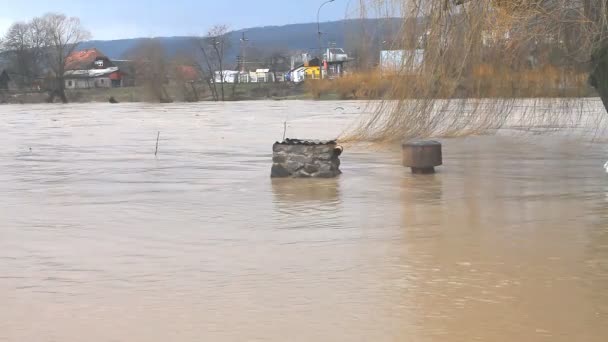 Rivier buiten zijn oevers — Stockvideo