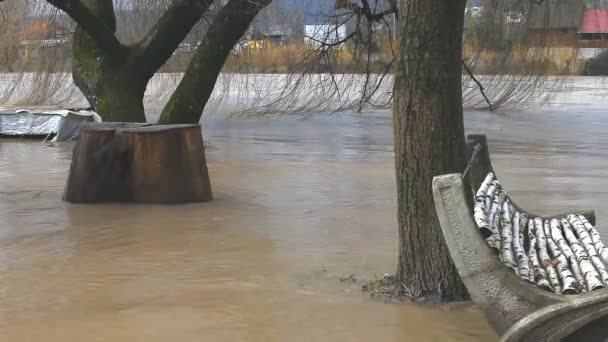 Río reventó sus orillas — Vídeos de Stock