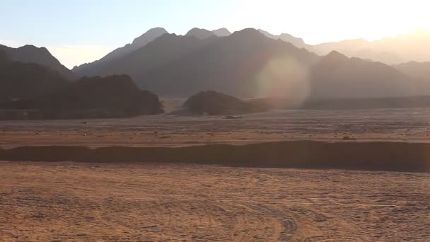 Montaña en el desierto de Egipto — Vídeos de Stock