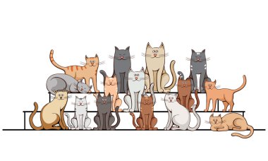 Grup kedi adımları hakkında
