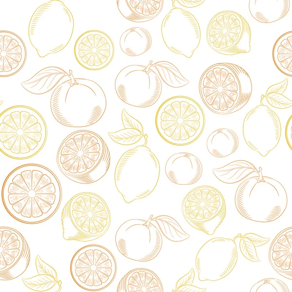 Citrus zökkenőmentes minta — Stock Vector