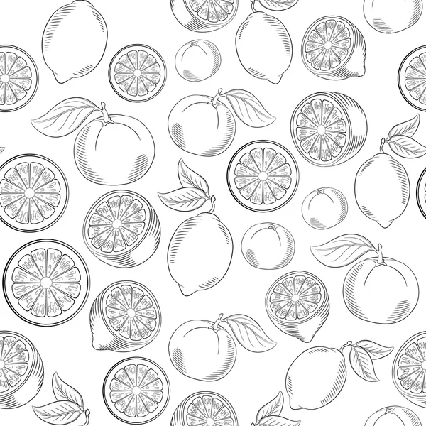 Fekete-fehér citrus zökkenőmentes minta — Stock Vector