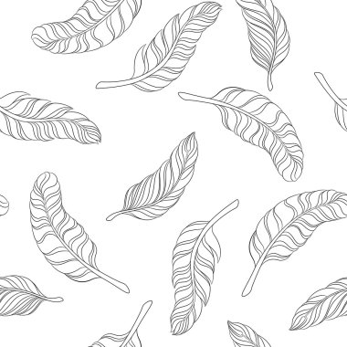 seamless modeli siyah beyaz tüyler