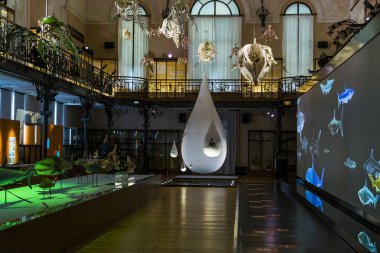 Dünya deniz canavarları