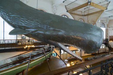 Müze, Oşinografi Monako