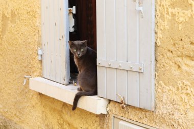 Kuyruklu cetvel penceresini