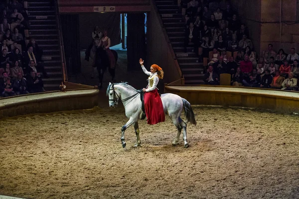 Museu do Cavalo em Chantilly — Fotografia de Stock
