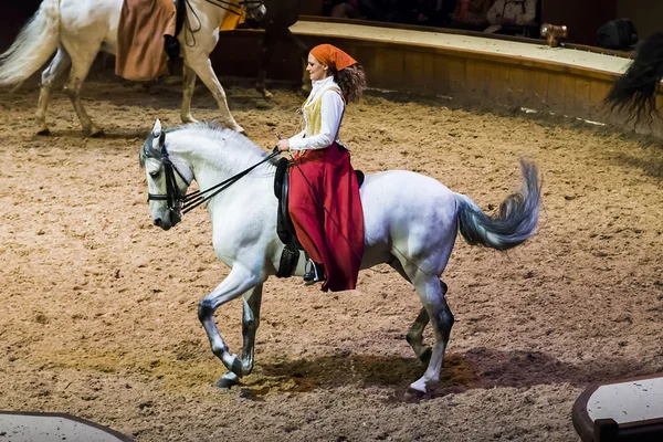 Museu do Cavalo em Chantilly — Fotografia de Stock