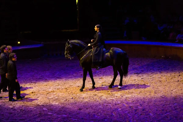 Museu do Cavalo em Chantilly — Fotografia de Stock