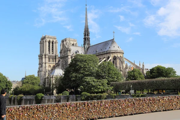 Senhora de notre de Paris — Fotografia de Stock