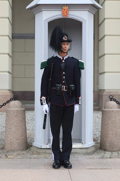 The guard on duty — Stock Photo, Image
