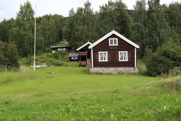 Houses in Torpo — Stock Photo, Image