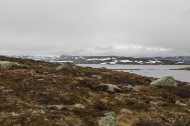 Sis tundra üzerinde